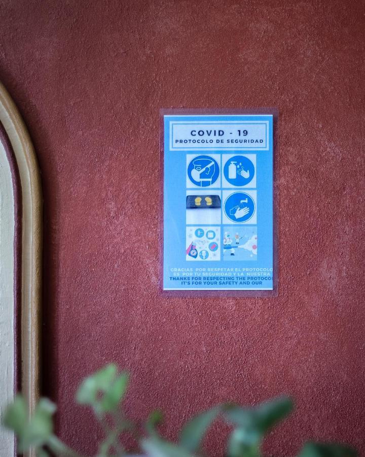 Casa Del Sotano Hotel Oaxaca Ngoại thất bức ảnh